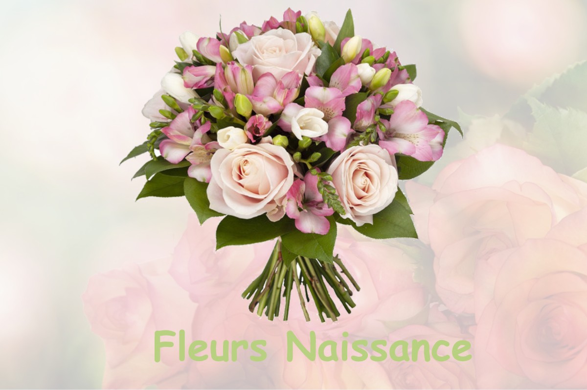 fleurs naissance VELAUX