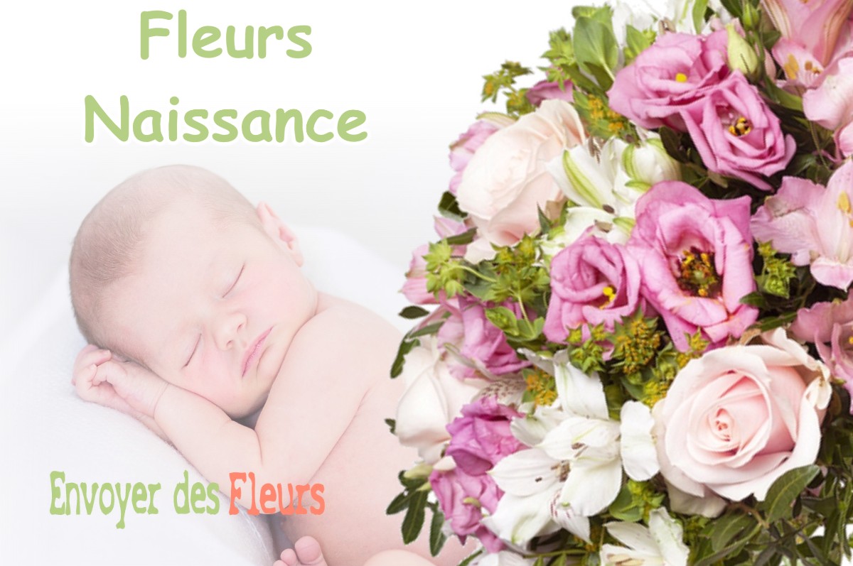 lIVRAISON FLEURS NAISSANCE à VELAUX